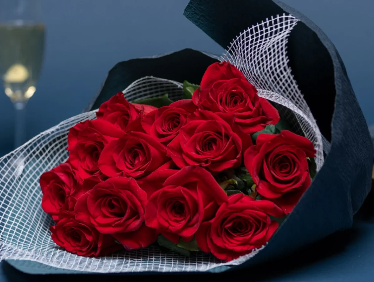 one more surprise 2