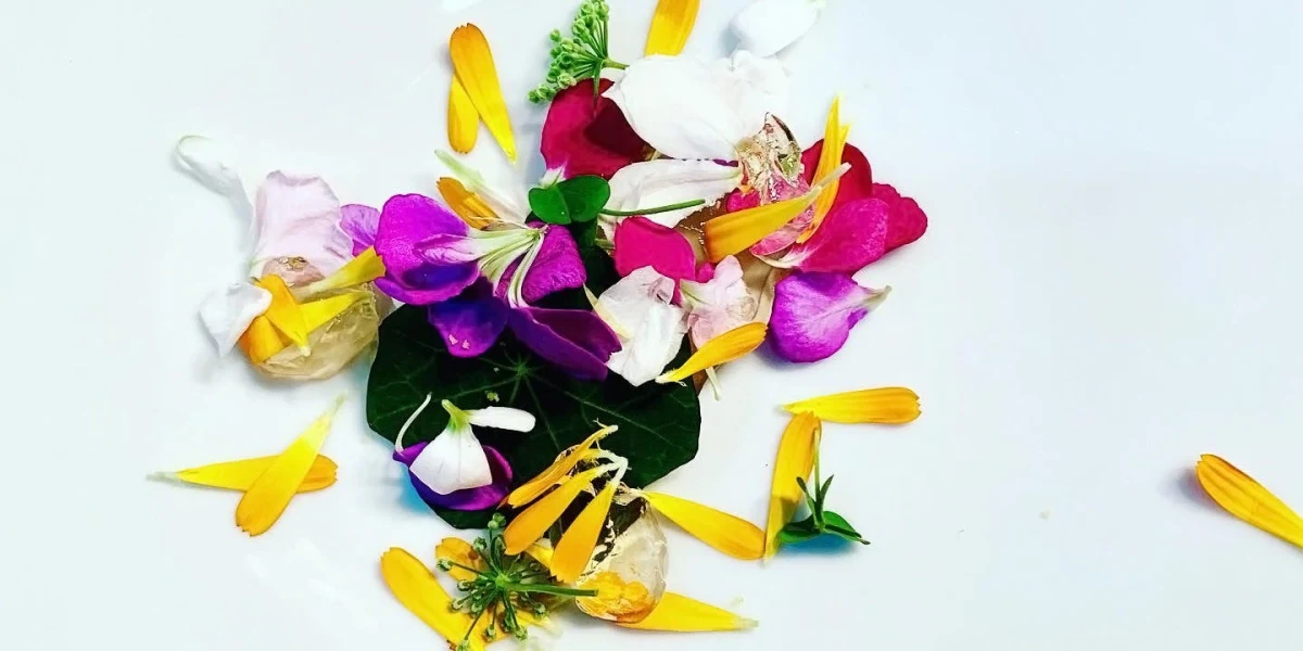 ～Menu Degustation～