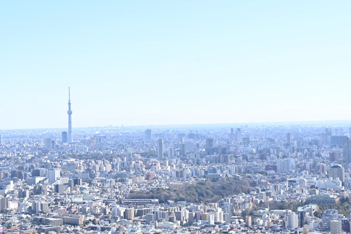 地上210mから望む絶景に心躍るクリスマス | 【個室確約!12月24日・25日限定 クリスマススペシャルランチ】伝統と革新のフレンチ全6品&乾杯スパークリング★サンシャイン60のスカイレストランで愉しむフレンチ