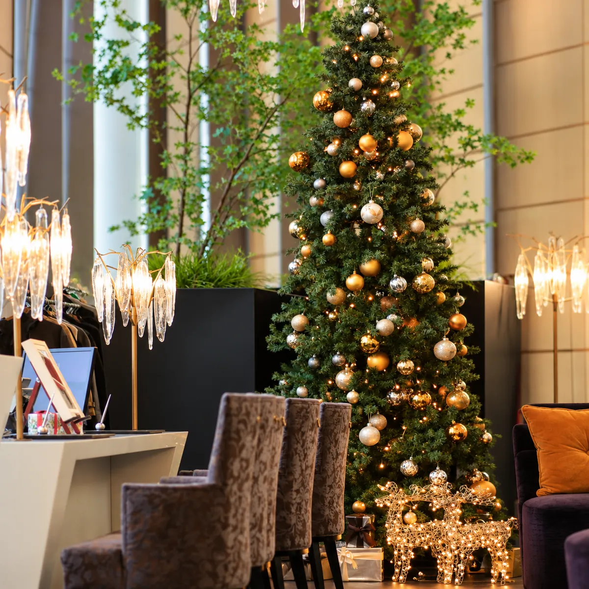 12月24日〜26日【クリスマスランチプラン】心華やぐクリスマスランチ★冬の恵みを散りばめた珠玉のフレンチコース〜梅田駅徒歩5分・アルモニーアンブラッセ大阪 内観/外観