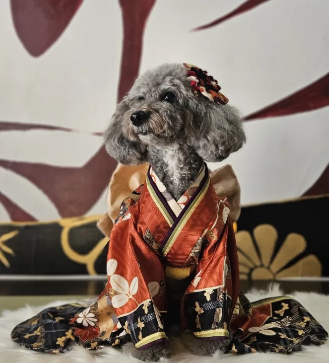 愛犬も一緒に楽しめる心温まる特別なお祝いの時間 | 【大人数のお祝いプラン】土日祝｜1日1組限定・最大10名様・個室確約｜特別コース「結・雅」・愛犬同伴OK