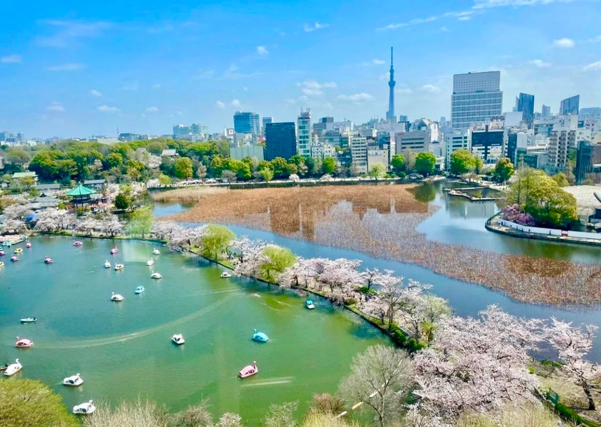 【窓側個室確約×絶景ロケーション】ふかひれ・鮑スープ・北京ダックなど贅沢中華8品★乾杯スパークリング&メッセージ付きデザート付きアニバーサリープラン★上野・空中庭園の個室で贅沢中華を堪能★の写真 4