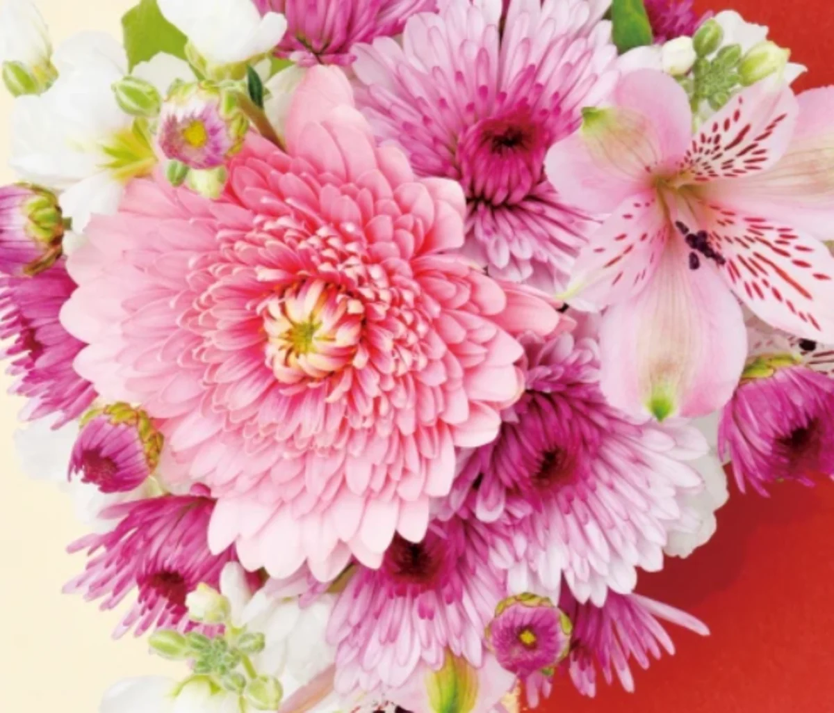 卓上花