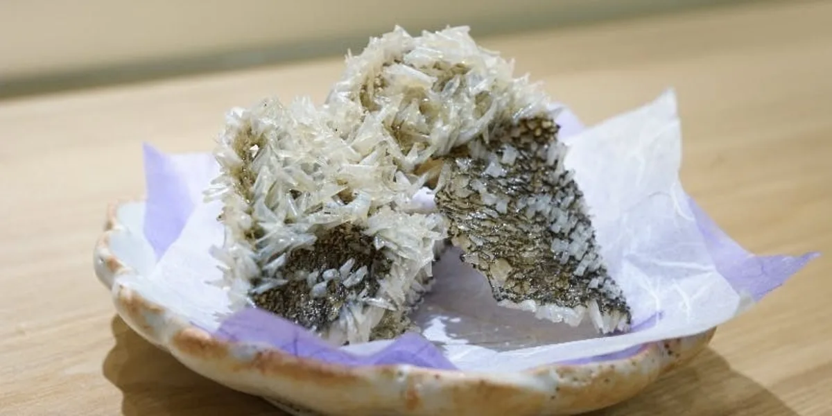 【個室確約】九絵、特選和牛など高級食材を生かしたおまかせ和食コース全9品＋乾杯ドリンク付き 1