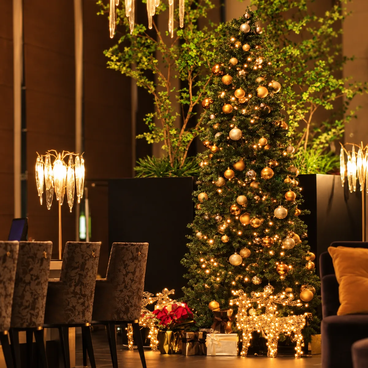 12月24日〜26日限定【夜景に包まれた天空のチャペル貸切＊クリスマスプロポーズプラン】20本のバラの花束&キャンドル装飾付★季節の厳選食材を使用したフレンチコース＋フリードリンク〜梅田駅徒歩5分・アルモニーアンブラッセ大阪の写真 4