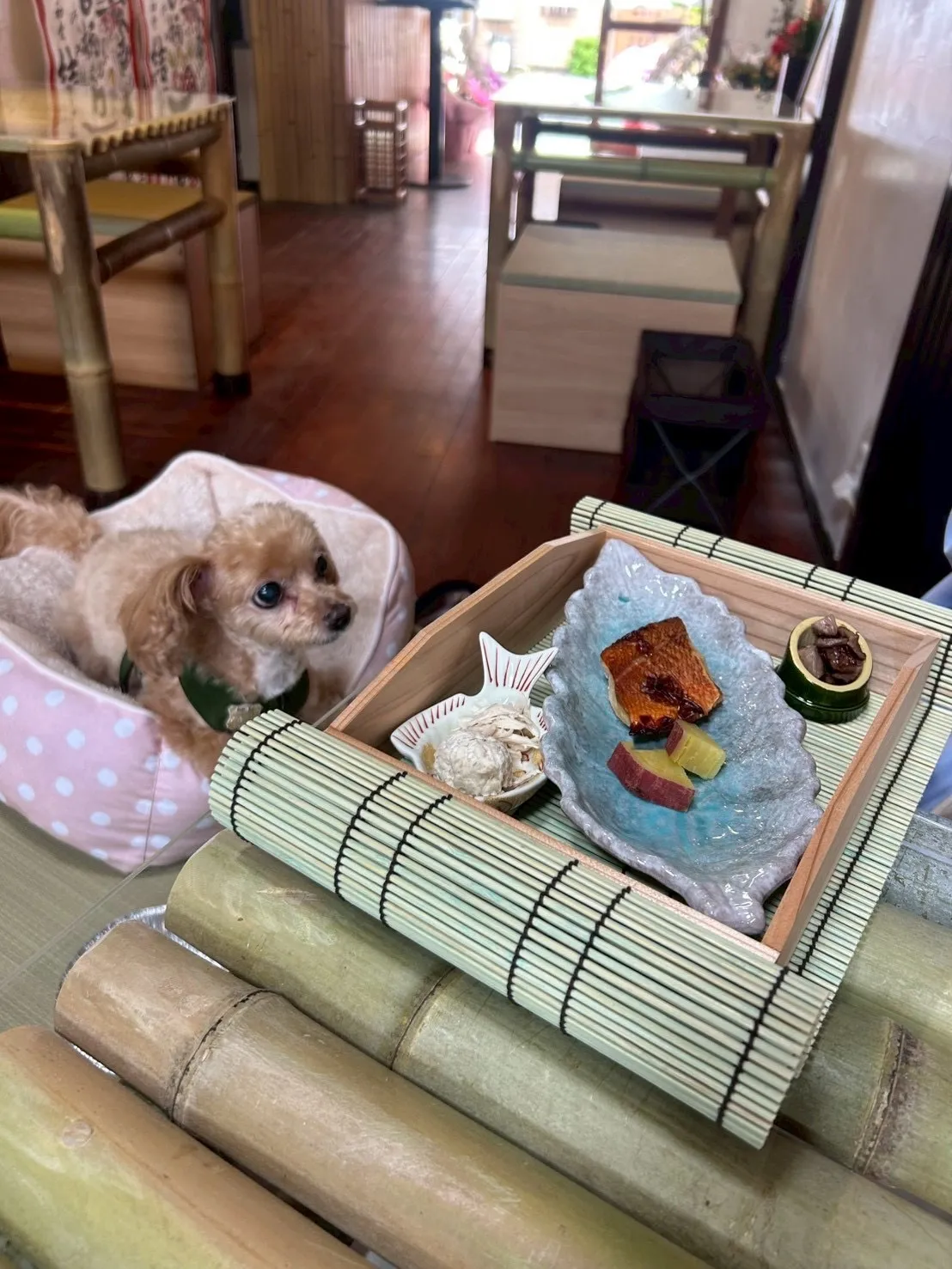 愛犬も一緒に楽しめる心温まる特別なお祝いの時間 | 【大人数のお祝いランチ】平日10%OFF｜選べるお席・最大10名様｜ミニ/フルから選べる創作和食コース・愛犬同伴OK