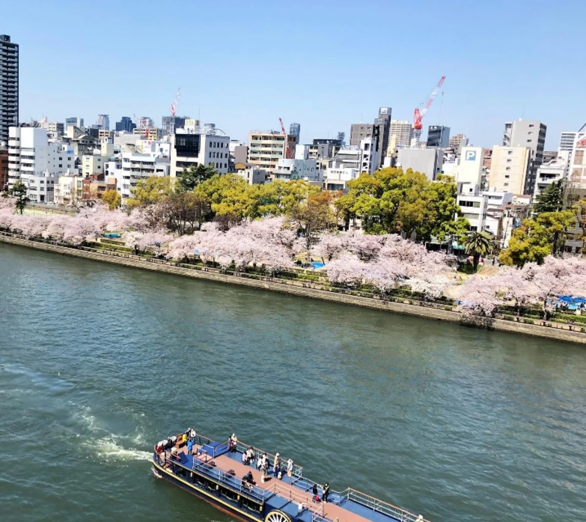【リバービュー個室】ホテル還暦祝いプラン ふかひれスープ含む中華コース＋飲み放題★大川沿いの美景を堪能★の写真 3