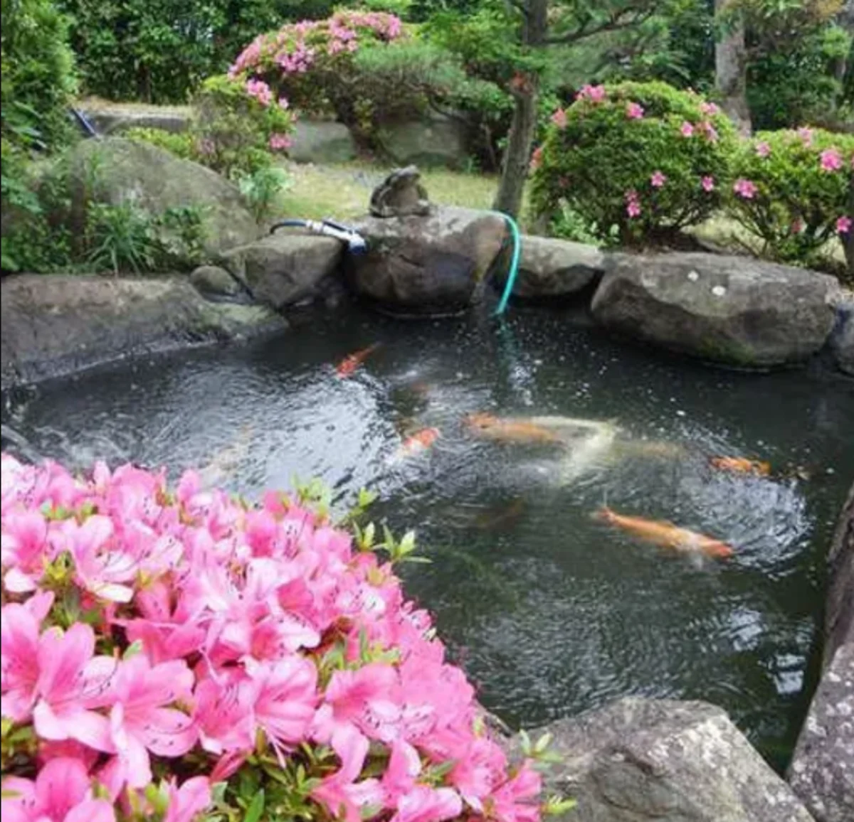 【最大30名様×完全個室確約】新鮮な旬の海鮮で祝う＋極上のお祝い会席ディナー全10品★乾杯ドリンクつき★大阪湾を望む絶景とともに淡輪で 内観/外観