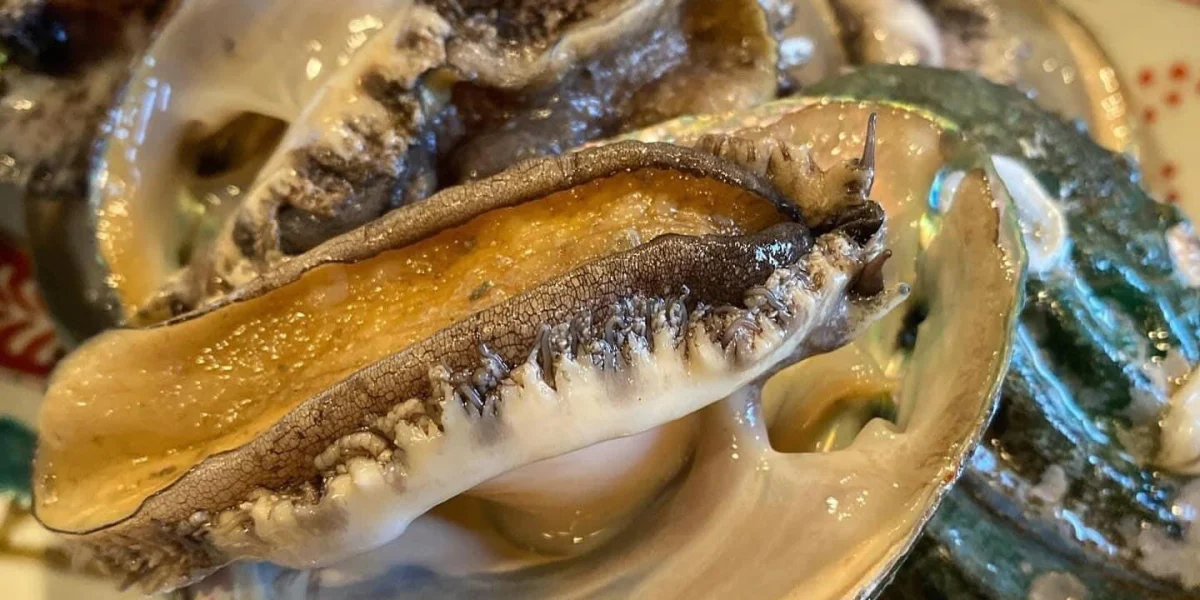 【最大4名×カウンター席×お祝いプラン】おまかせコース / 店主の技光る！季節の旬食材を生かしたディナーコース★地下鉄栄駅から徒歩3分の大人の隠れ家 料理