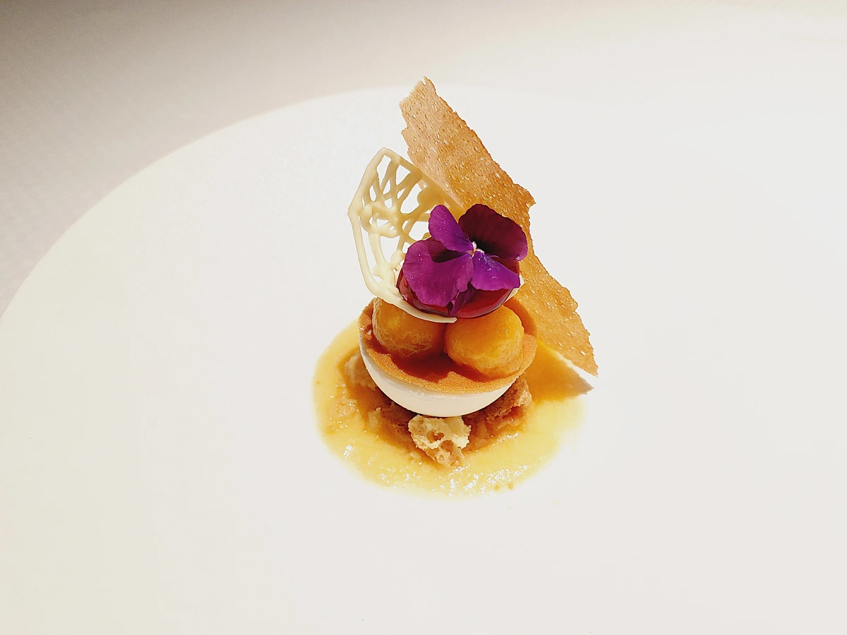 季節感ただよう8品のフレンチコースランチ　宝箱に入った選べる小菓子付き（メインはおまかせ） 7
