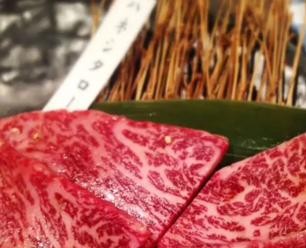 【個室確約】接待・会食や顔合わせに｜極上A5和牛を堪能する全10品ディナー★北新地のプライベート空間で特別なひとときをの写真 3