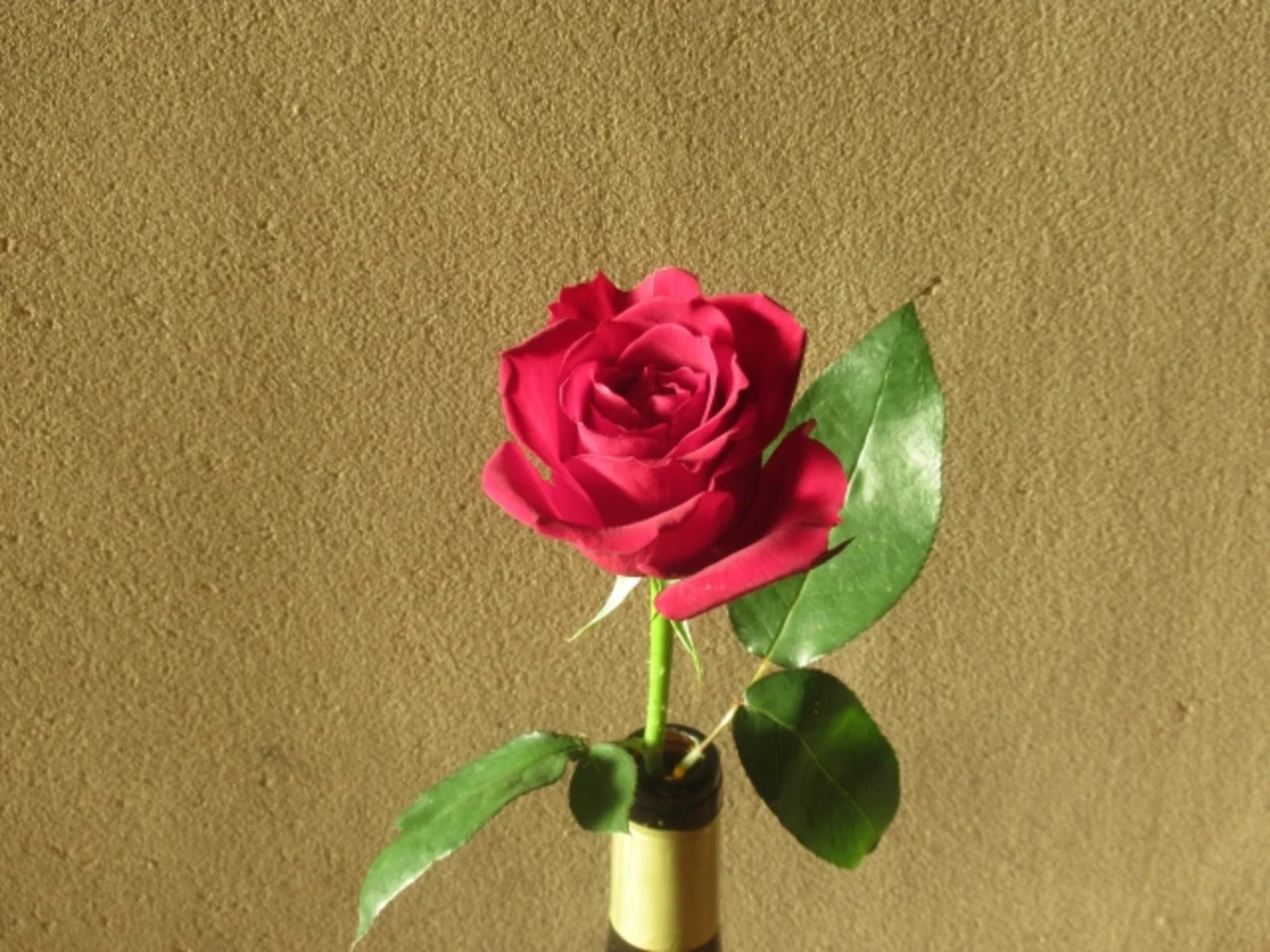 一輪の花