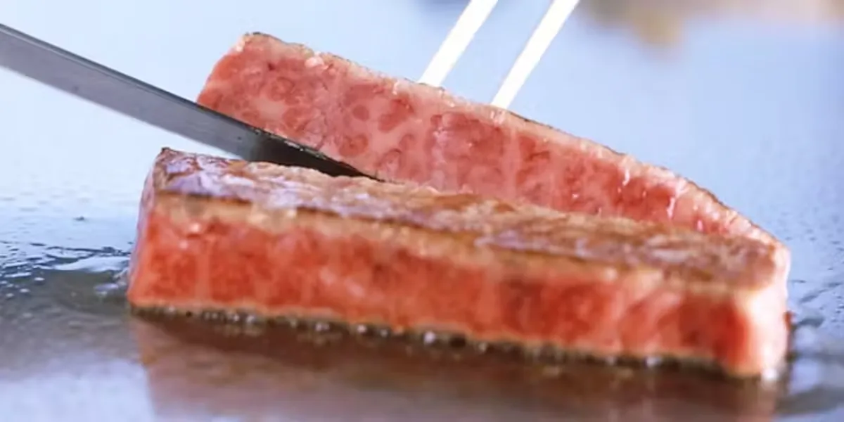 満月コース