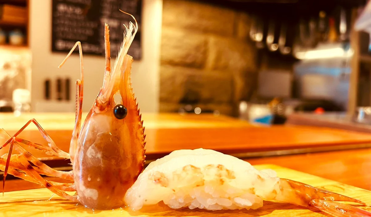 【カウンターor個室選択可★アニバーサリープラン】職人技×旬食材が織りなす海鮮ディナーコース★寿司・焼物・人気の茶碗蒸しなど堪能!札幌・狸小路の隠れ家で贅沢&特別な夜をの写真 5