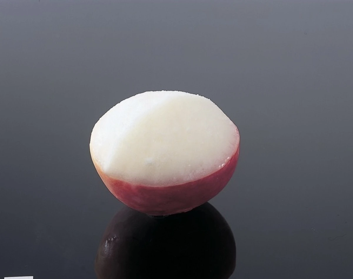 Anny限定【最大12名まで×お祝いディナー】黒毛和牛の贅沢焼肉ディナー全17品★メッセージ付き肉ケーキ＋飲み放題つき★白島駅徒歩2分で祝う特別なひととき 5