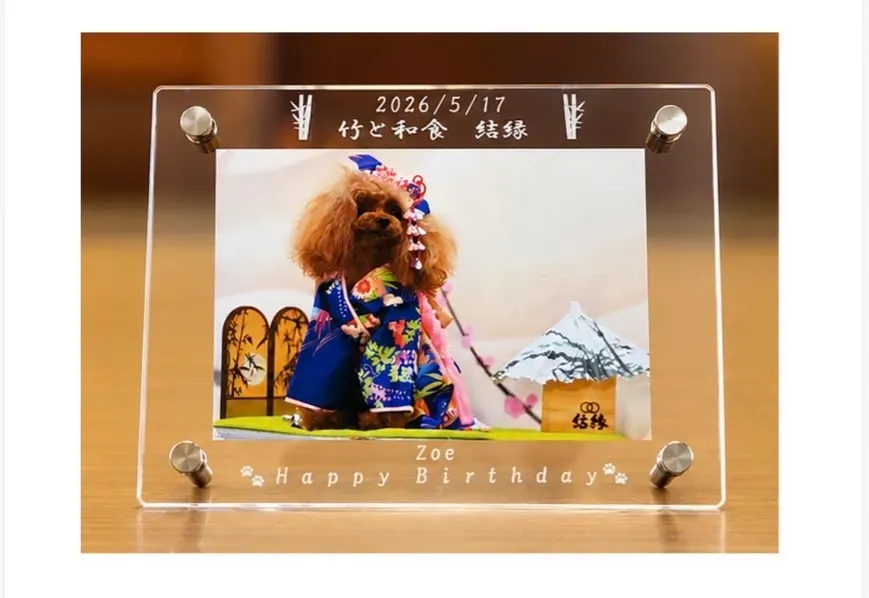 有料オプション