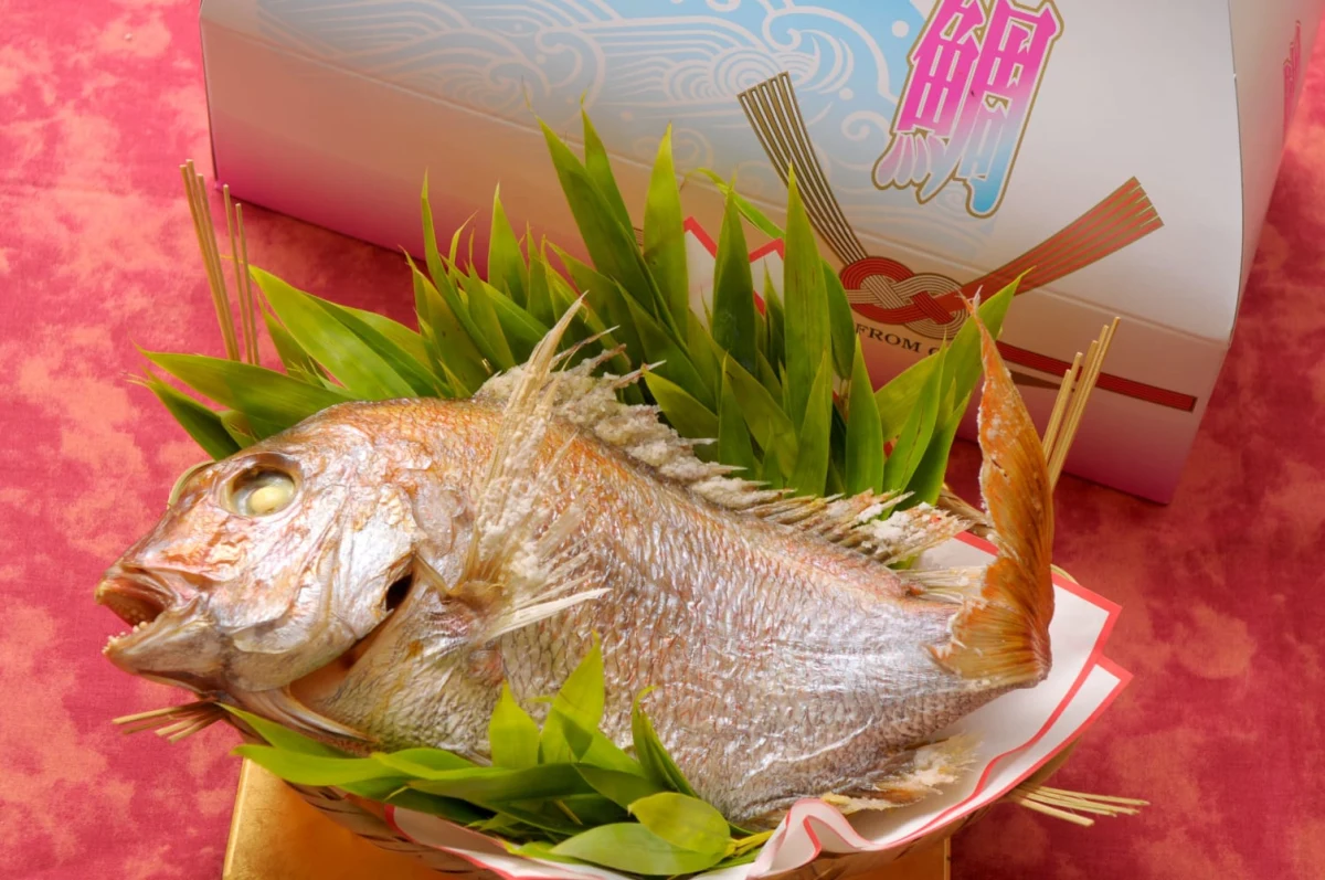 祝鯛塩焼 一匹