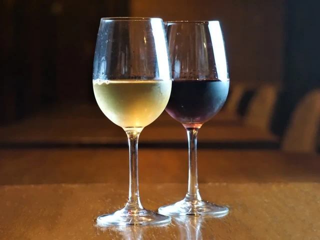 飲み放題プラン(120分飲み放題)